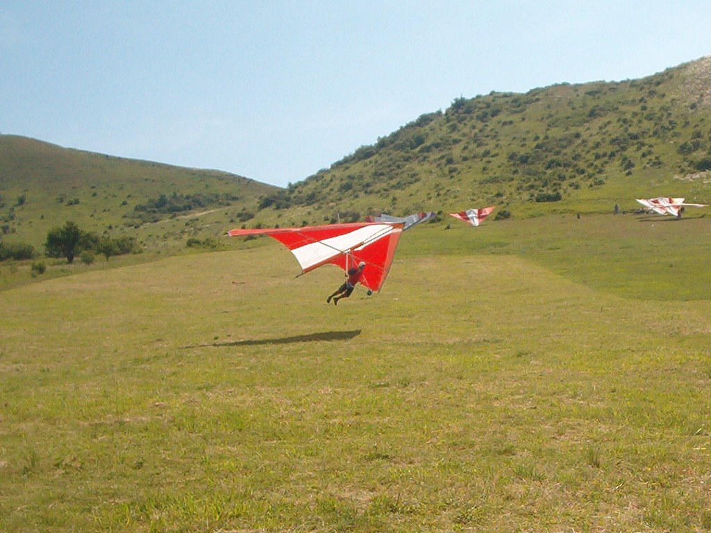 Photograph