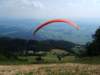 Photo Number 8
