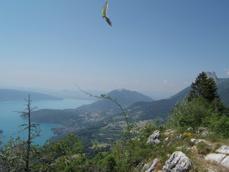 photo26.jpg