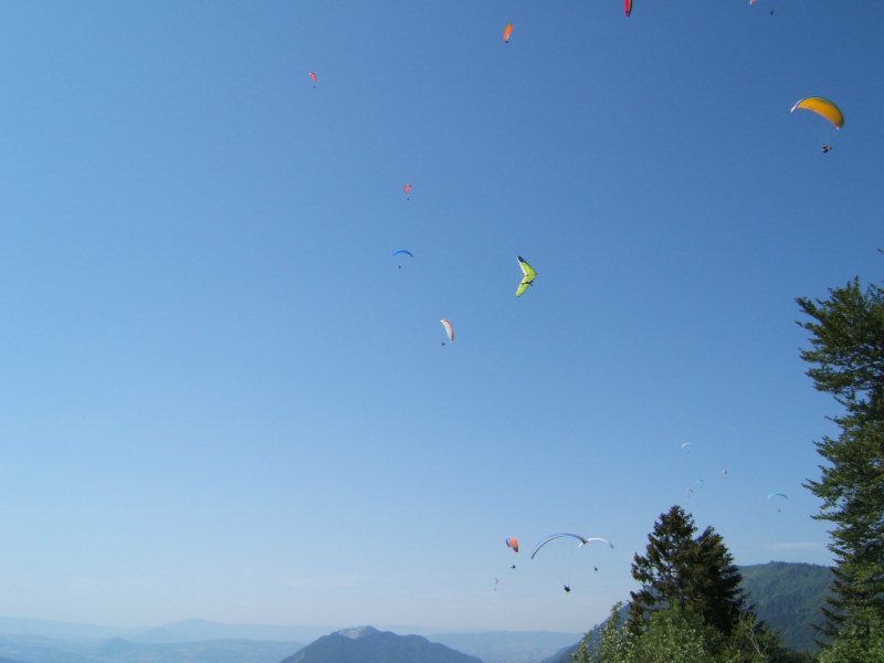 photo64.jpg