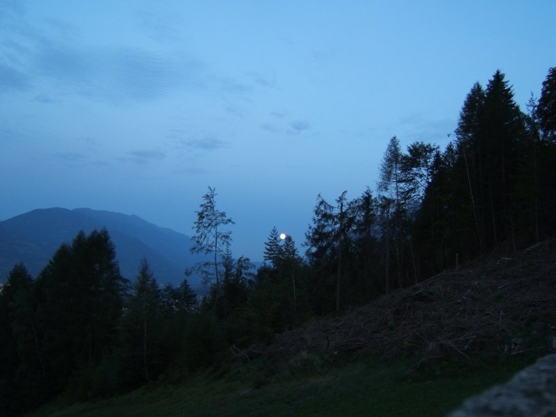 dscf0917.jpg