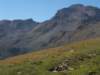 dscf1085_small.jpg
